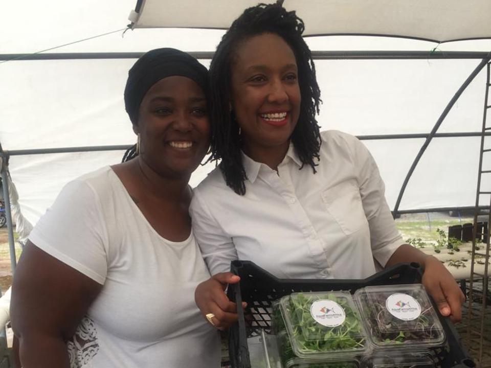 Aquafarms Africa Is Using Aquaponics To Grow Food And Entrepreneurs Bayi Capital